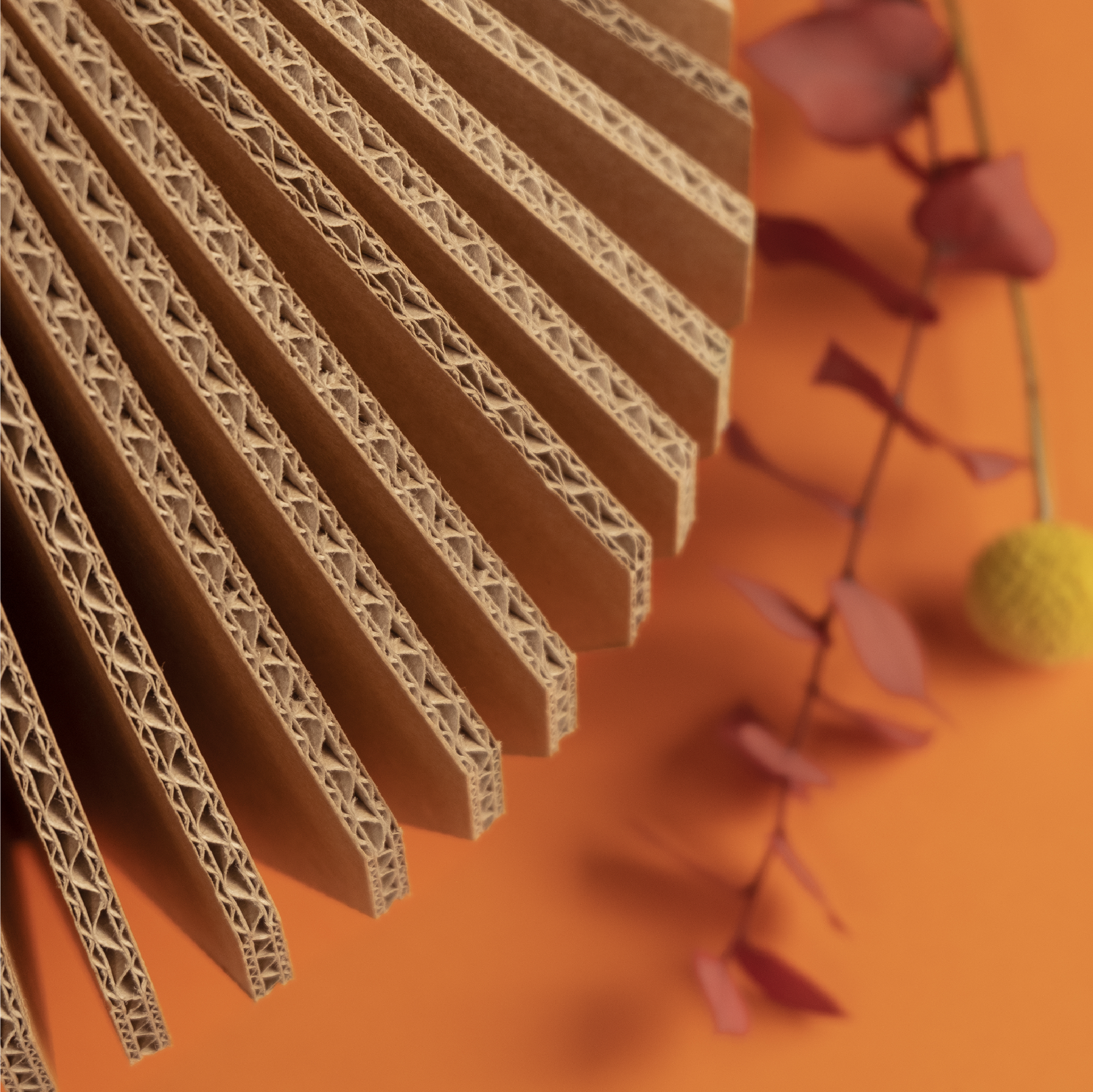 TOUTSIMPLEMENT-Collection-02